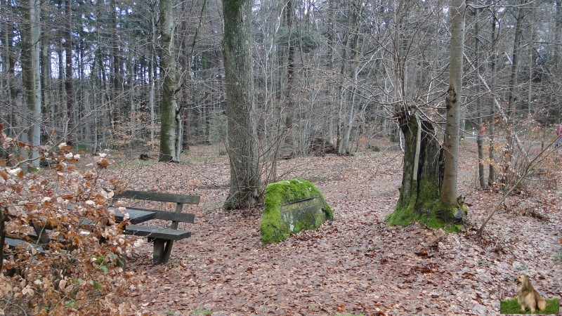 Ritterstein Nr. 131-4 Schoenlaub-Linden.JPG - Ritterstein Nr.131  Schoenlaub-Linden                               